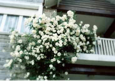 2011年9月旺运大吉方_51纪念网