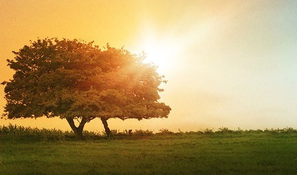 秋分时节风水开运_51纪念网