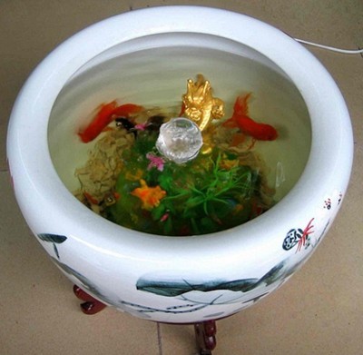 鱼缸巧摆放风水旺家运_51纪念网