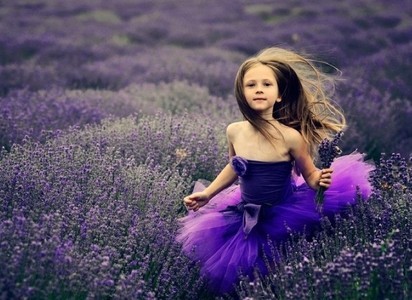 让明星越住越火的家居风水_51纪念网