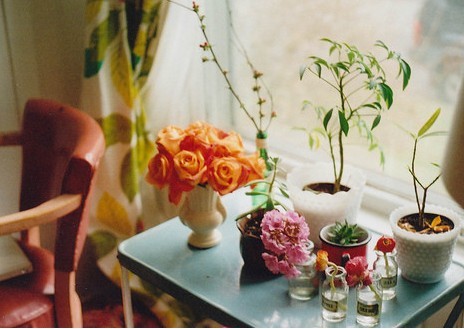 注意！卧室花瓶摆放的风水_51纪念网