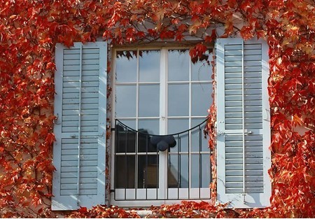 窗外小风水影响大运气_51纪念网