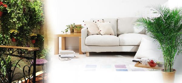 用客厅八方旺运法_51纪念网