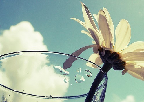 2012年让父母更幸福的风水_51纪念网