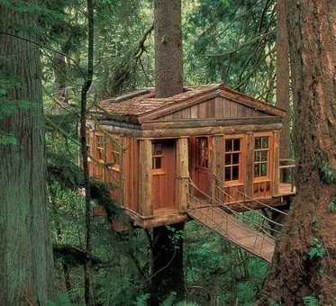 摆放风水吉祥物的讲究_51纪念网