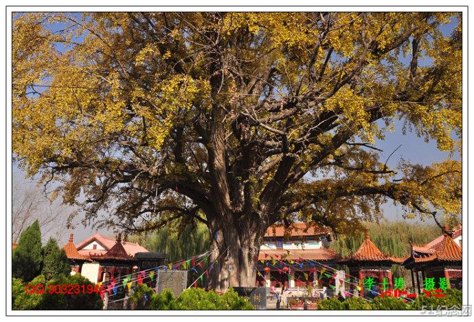 临沂姜氏宗祠_51纪念网